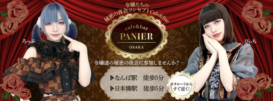パニエのイメージ