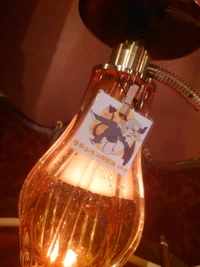 魔界に堕ちてきませんか？🦇