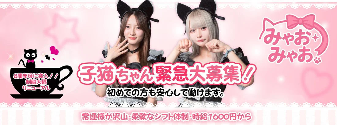 みゃおみゃお 秋葉原 コンカフェ ＆ メイドカフェ