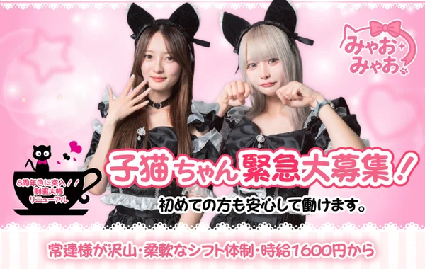 みゃおみゃお 秋葉原 コンカフェ ＆ メイドカフェ