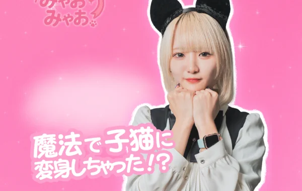清楚な子猫ちゃんのcafe&barみゃおみゃお