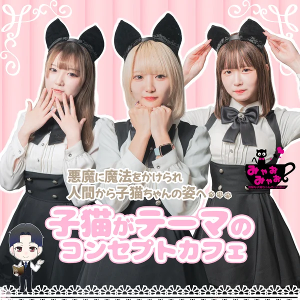 清楚な子猫ちゃんのcafe&barみゃおみゃおのイメージ