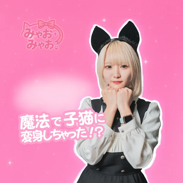 清楚な子猫ちゃんのcafe&barみゃおみゃおのイメージ