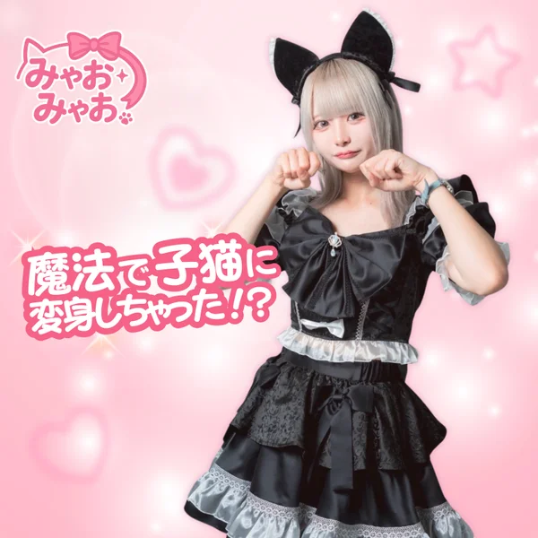 みゃおみゃお 秋葉原 コンカフェ ＆ メイドカフェのイメージ