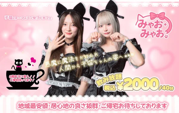 みゃおみゃお 秋葉原 コンカフェ ＆ メイドカフェのイメージ