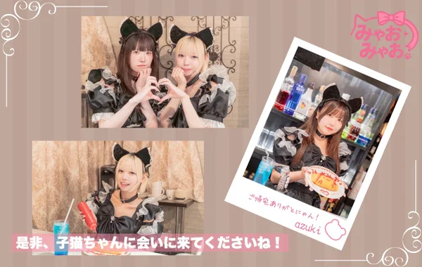 みゃおみゃお 秋葉原 コンカフェ ＆ メイドカフェ