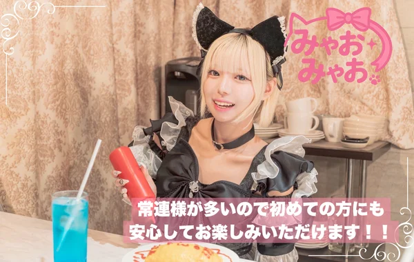 みゃおみゃお 秋葉原 コンカフェ ＆ メイドカフェ