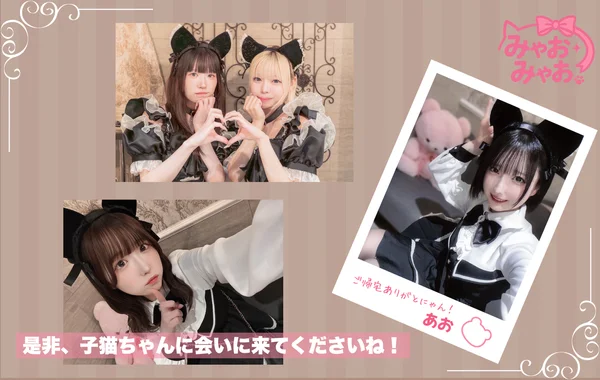 みゃおみゃお 秋葉原 コンカフェ ＆ メイドカフェ