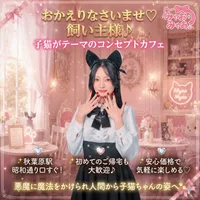 みゃおみゃお 秋葉原 コンカフェ ＆ メイドカフェ