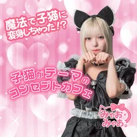みゃおみゃお 秋葉原 コンカフェ ＆ メイドカフェ