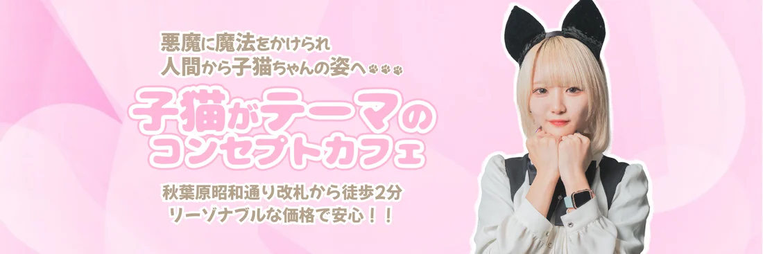 清楚な子猫ちゃんのcafe&barみゃおみゃおのイメージ