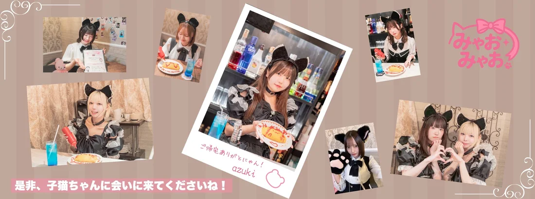 みゃおみゃお 秋葉原 コンカフェ ＆ メイドカフェ
