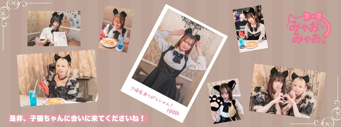 みゃおみゃお 秋葉原 コンカフェ ＆ メイドカフェ
