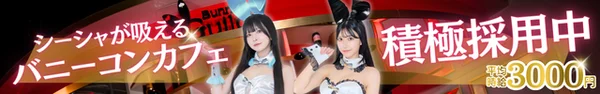 Bunny's Guild バニーズギルド