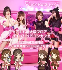 2025年6月リニューアルオープニングキャスト募集☆彡