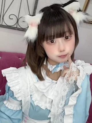 うずらさんの写真