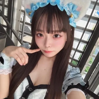 ねこさんの写真