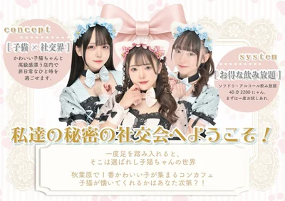 秋葉原で1番可愛い子が集まるミネットで 楽しく可愛く働きませ