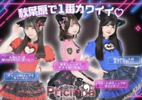 コンカフェで働きたい方 ぷりしーにゃで一緒に働きませんか？