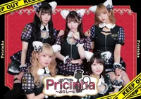 コンカフェで働きたい方 ぷりしーにゃで一緒に働きませんか？