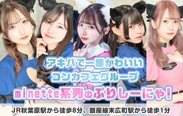 ぷりしーにゃのイメージ