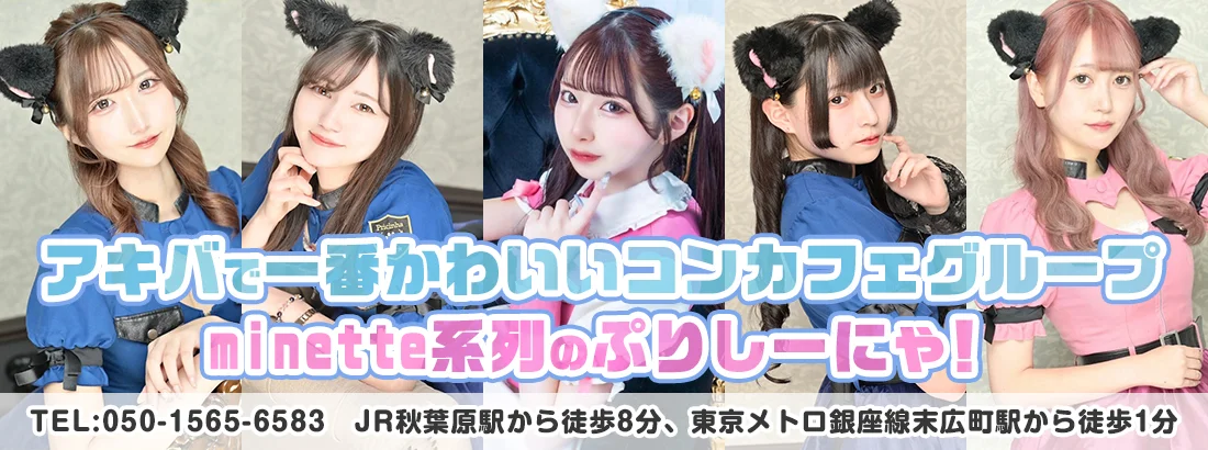 ぷりしーにゃのイメージ