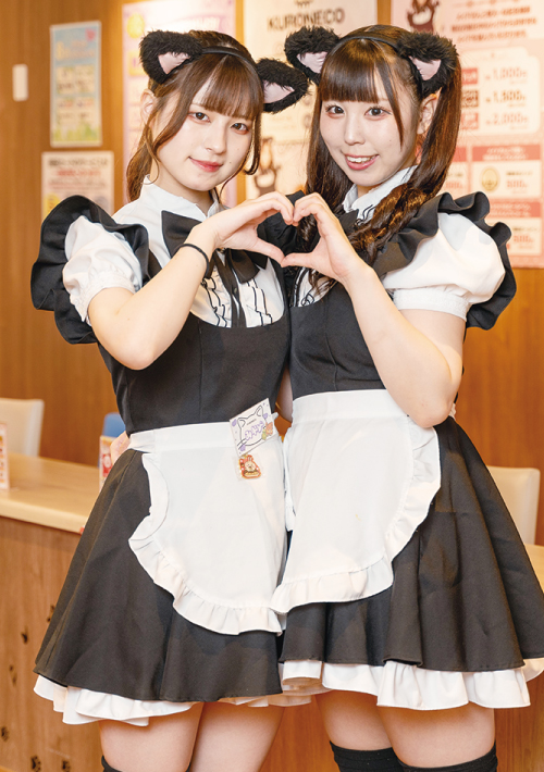 メイド喫茶ライター　六本セット 黒猫メイド魔法カフェ ドン・キホーテ広島八丁堀店｜広島｜ カフェるん