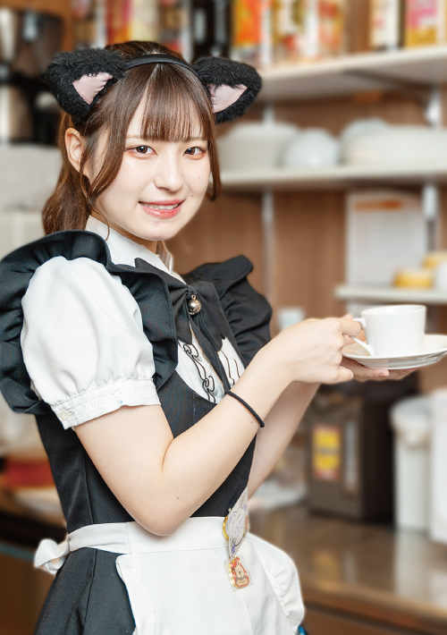 黒猫メイド魔法カフェ ドン・キホーテ広島八丁堀店｜広島｜ カフェるん
