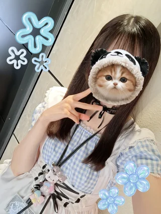 キャストイメージ