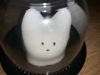 投稿：2025-05-10 11:35:46