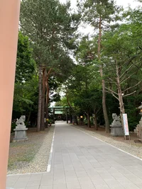 投稿：2025年7月16日 13:49