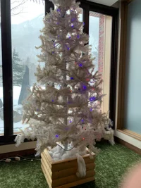 投稿：2026年1月17日 14:51