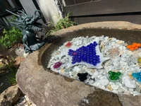 琴似神社で参拝