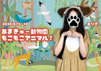 あまきゅー動物園🐼もこもこアニマル❕
