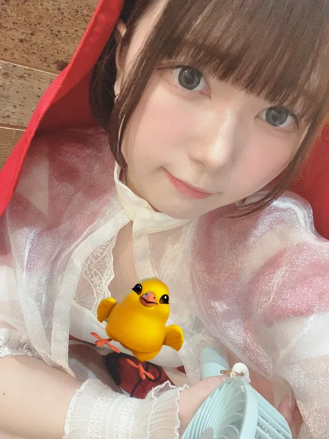 ひよさんの画像1枚目