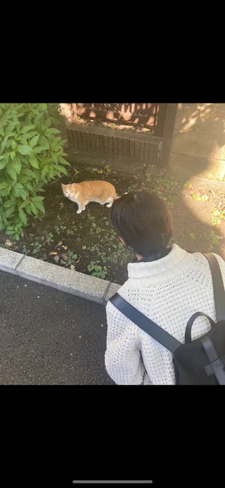 준 Jun ジュンさんの写真