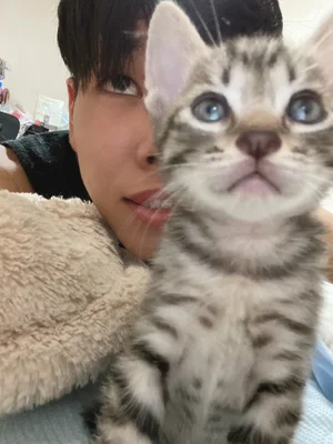 카이 kai カイ