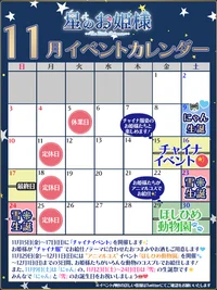 『星のお姫様』11月のイベントは・・・？✨