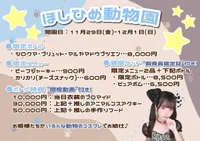 【11/29（金）～】アニマルイベント『ほしひめ動物園』🐾