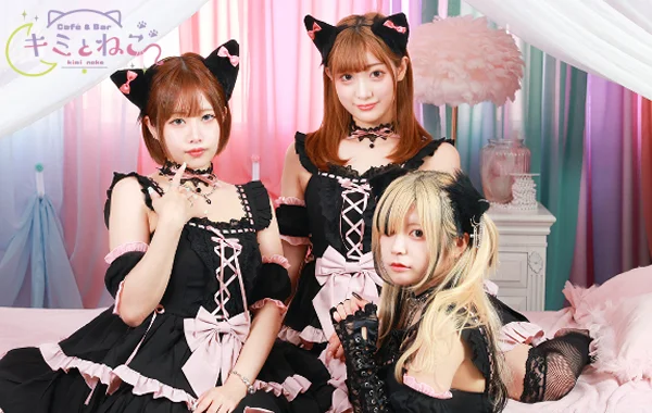 キミとねこのイメージ