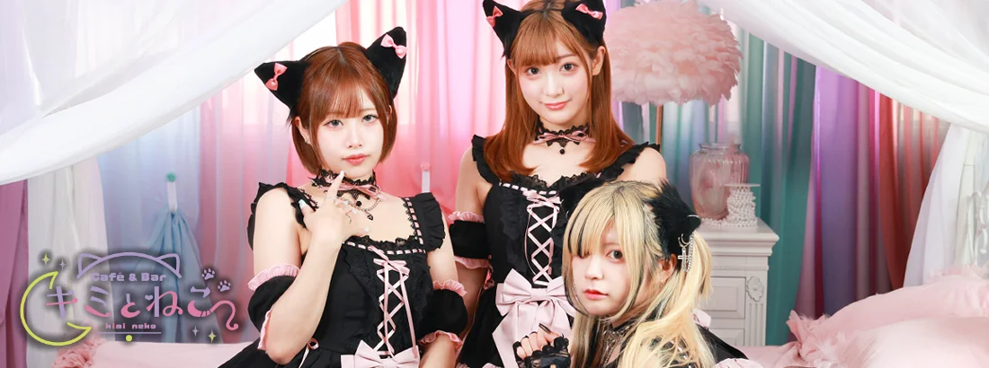 キミとねこのイメージ