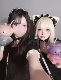 投稿：2025-11-19 13:01:59