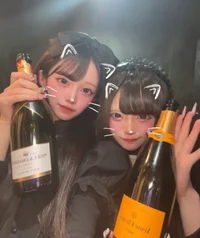 投稿：2026-01-11 20:47:44