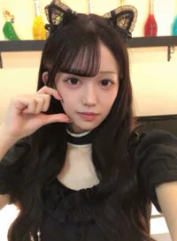 投稿：2026-01-29 17:56:22