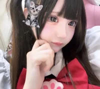 投稿：2026-02-17 17:50:36