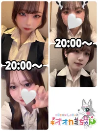 8/8(金)　本日出勤のオオカミちゃん🐺