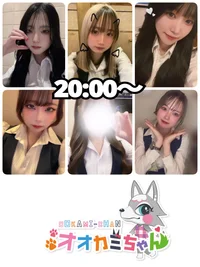 8/22(金)　本日出勤のオオカミちゃん🐺