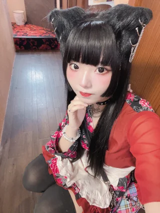 ねこさんの写真
