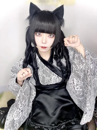 ねこさんの写真