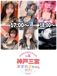 7/23(水)　本日出勤のオオカミちゃん🐺